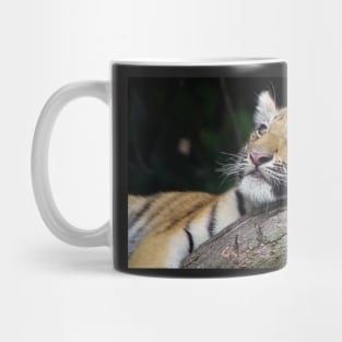 Tiger cub Mug